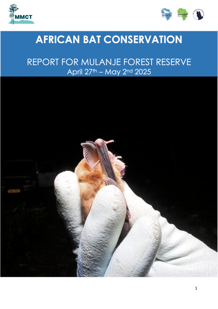 African Bat Conservation